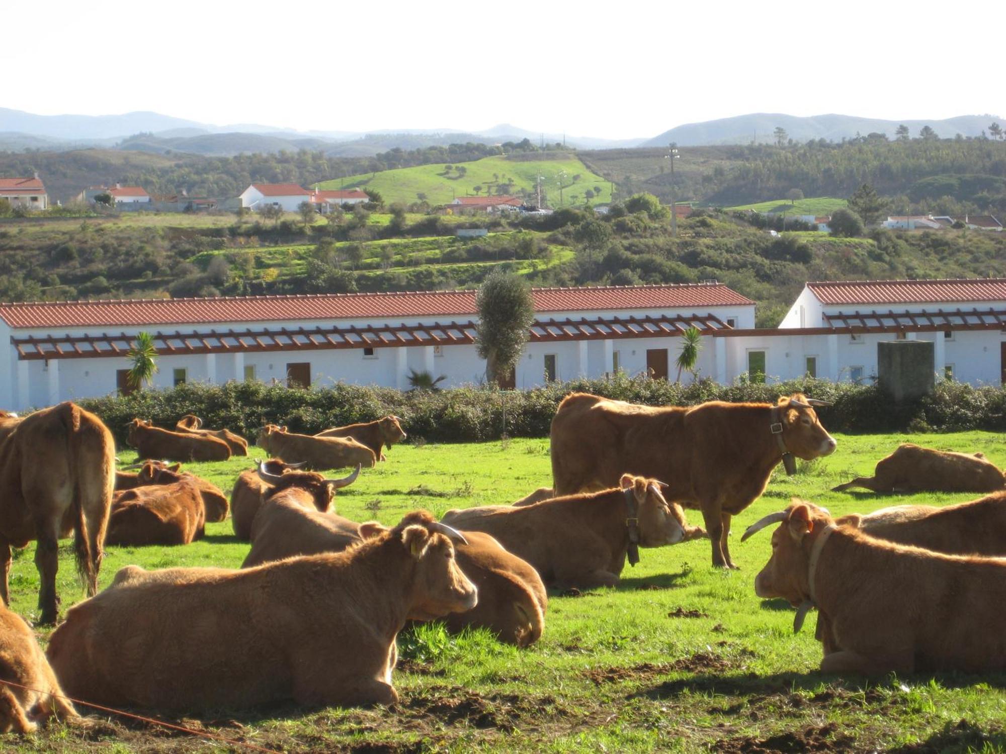 Quinta De Moledos Appartement Aljezur Buitenkant foto